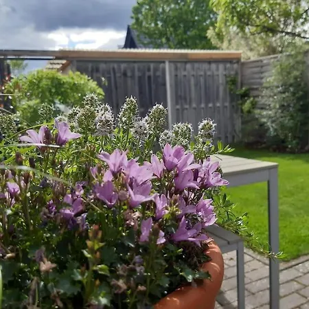 Mit Innenhof, Rasen Und Parkplatz Διαμέρισμα Altlussheim